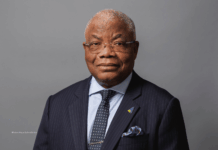Richard Lowe : « Ce que trois décennies de construction d’un groupe panafricain m’ont appris »