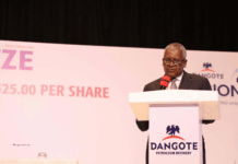 IPO de la raffinerie Dangote : 5 questions pour comprendre cette opération hors-norme