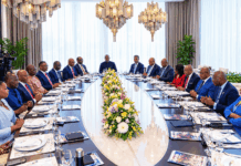 Tony Elumelu et Julius Maada Bio veulent mobiliser 15 milliards de dollars d’investissements